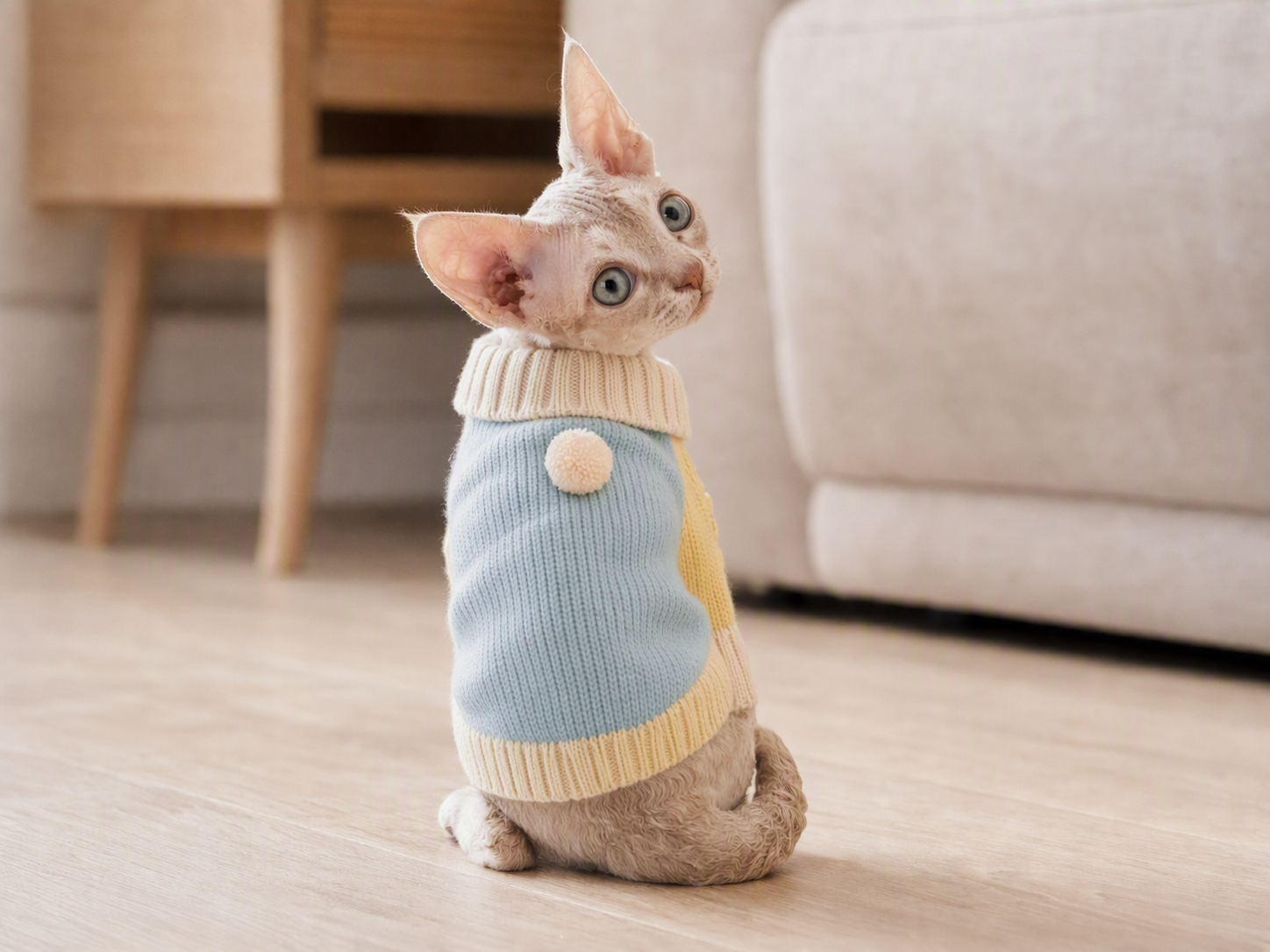 Before-and-after pet clothing virtual try-on created from a real pet photo and pet apparel product image