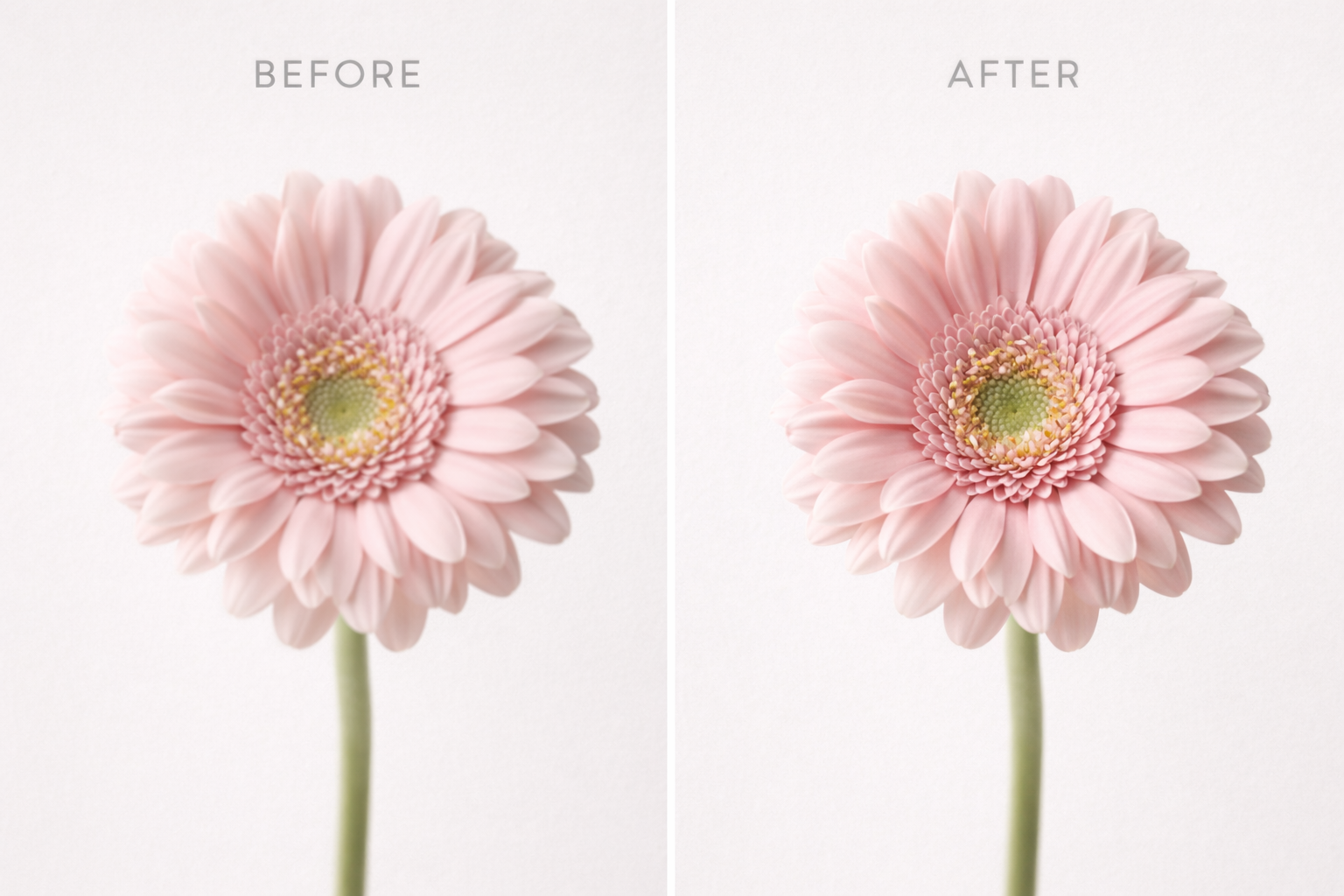 Flower_Image Restoration