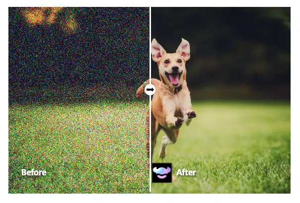 AI video denoising before-and-after showing a grainy, noisy dog running footage restored to clean, sharp quality using RoboNeo noise reduction and grain removal