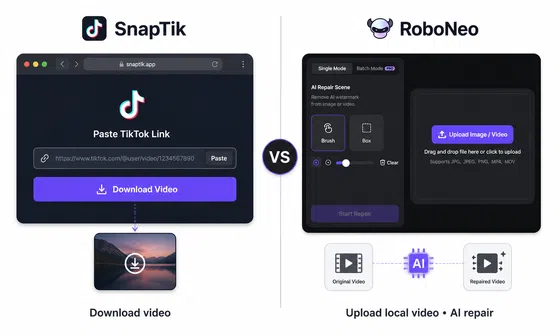 RoboNeo AI Watermark Remover vs SnapTik