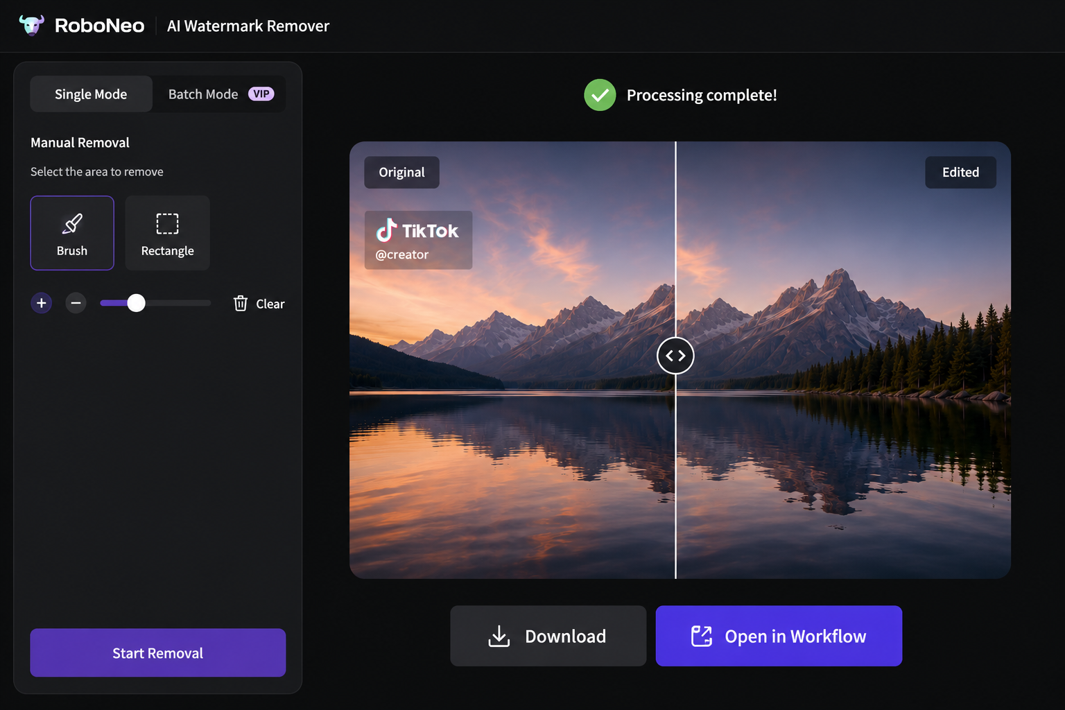 RoboNeo AI video watermark remover