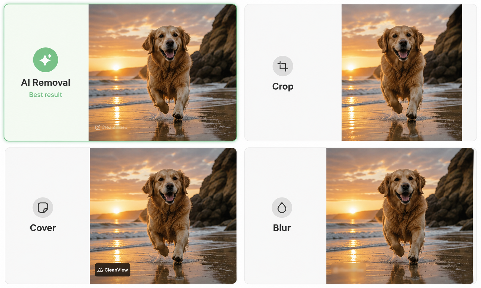 Zawa AI Watermark Remover for Dog Photos