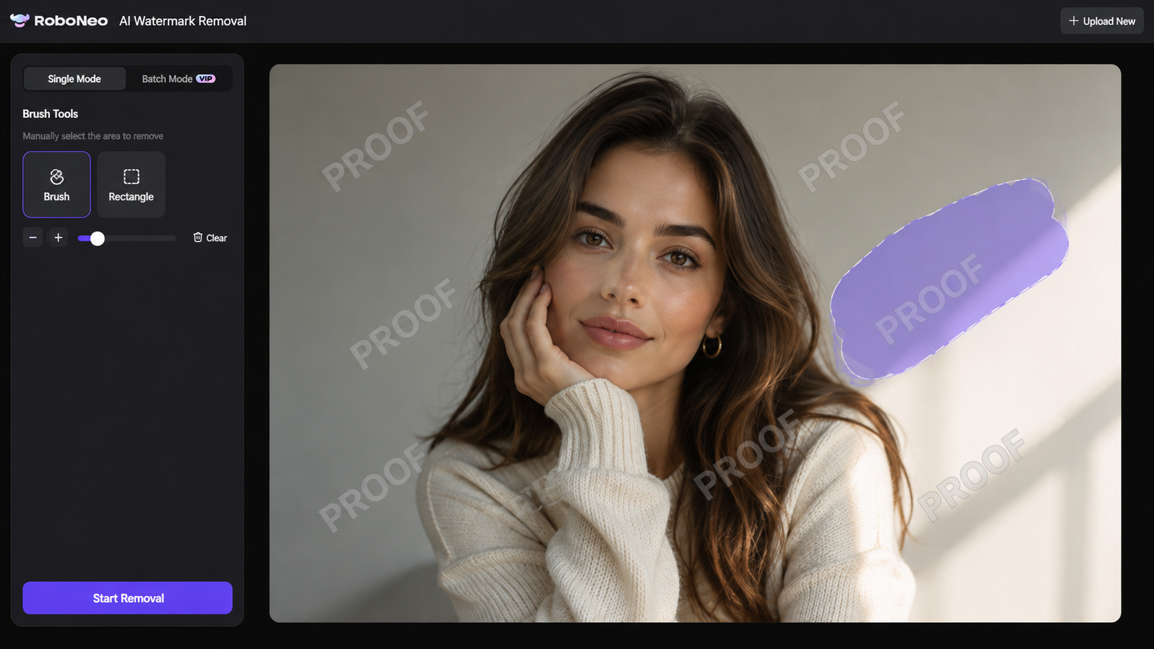 RoboNeo AI Watermark Removal tool interface RoboNeo AI Watermark Removal tool interface