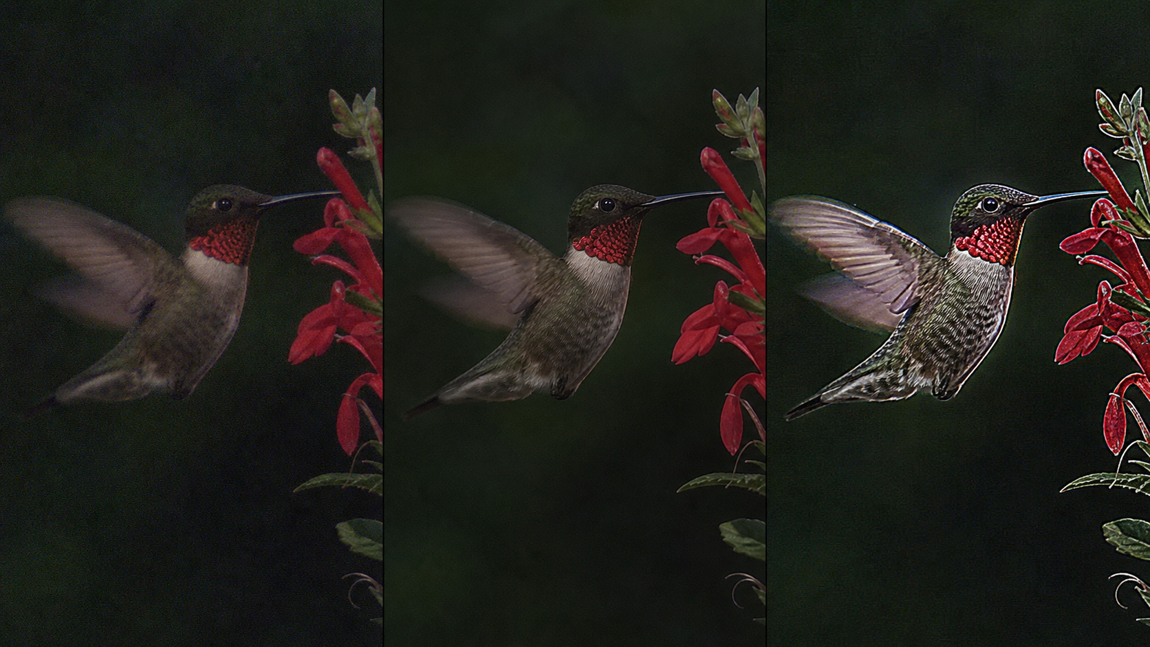 Video upscaling limitations comparison