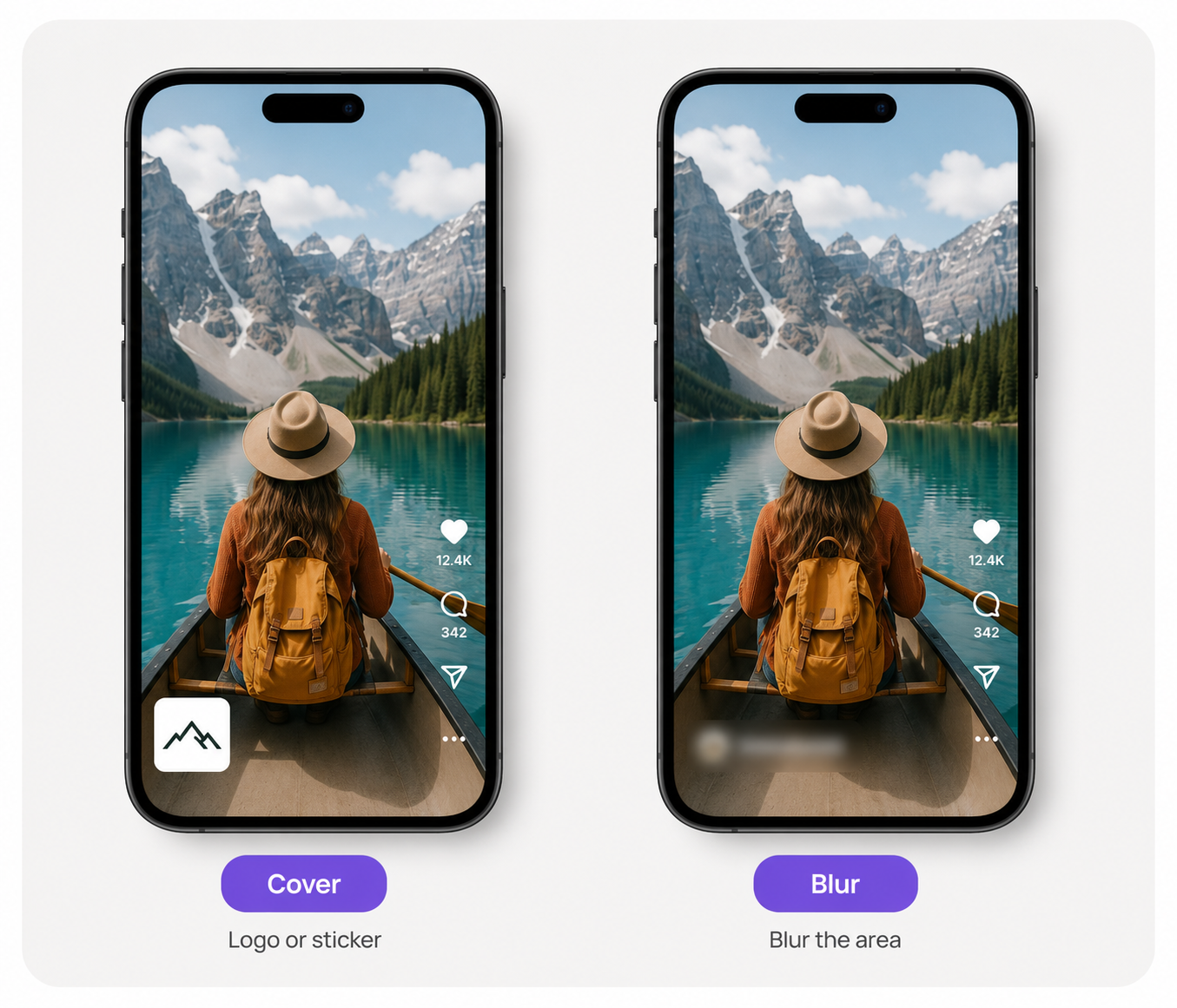 RoboNeo video watermark cover and blur