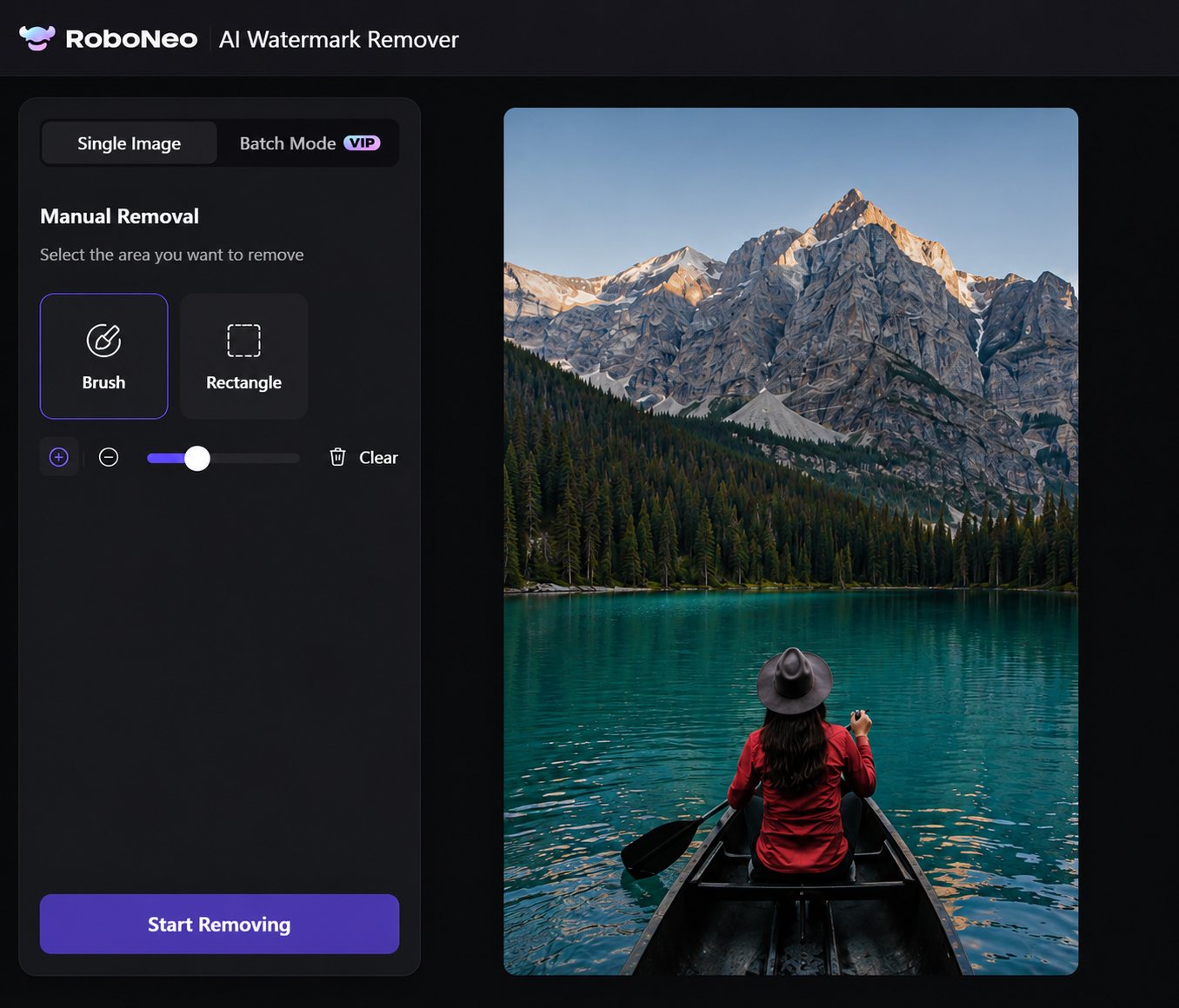 RoboNeo AI video watermark remover