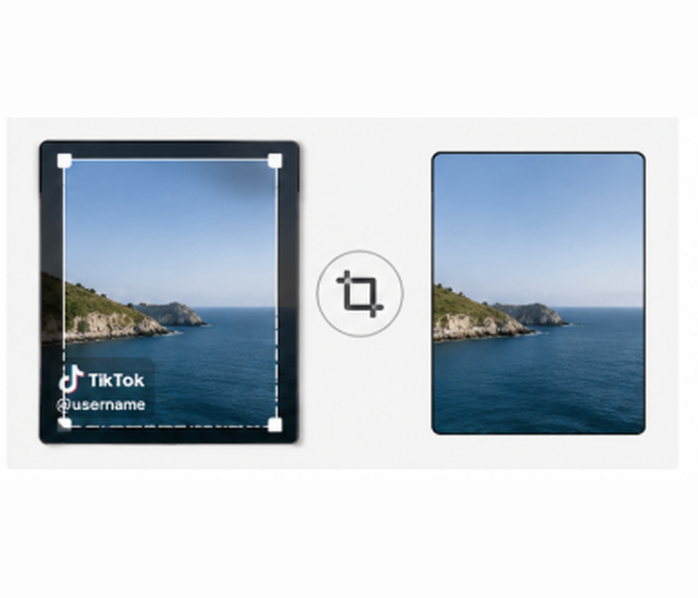 RoboNeo AI TikTok watermark crop
