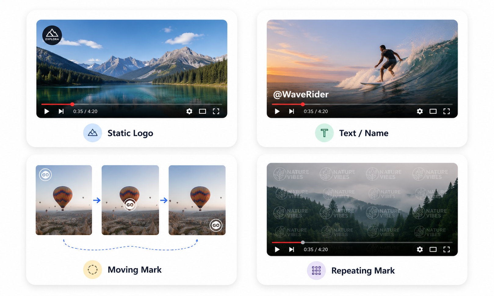 RoboNeo AI video watermark remover types