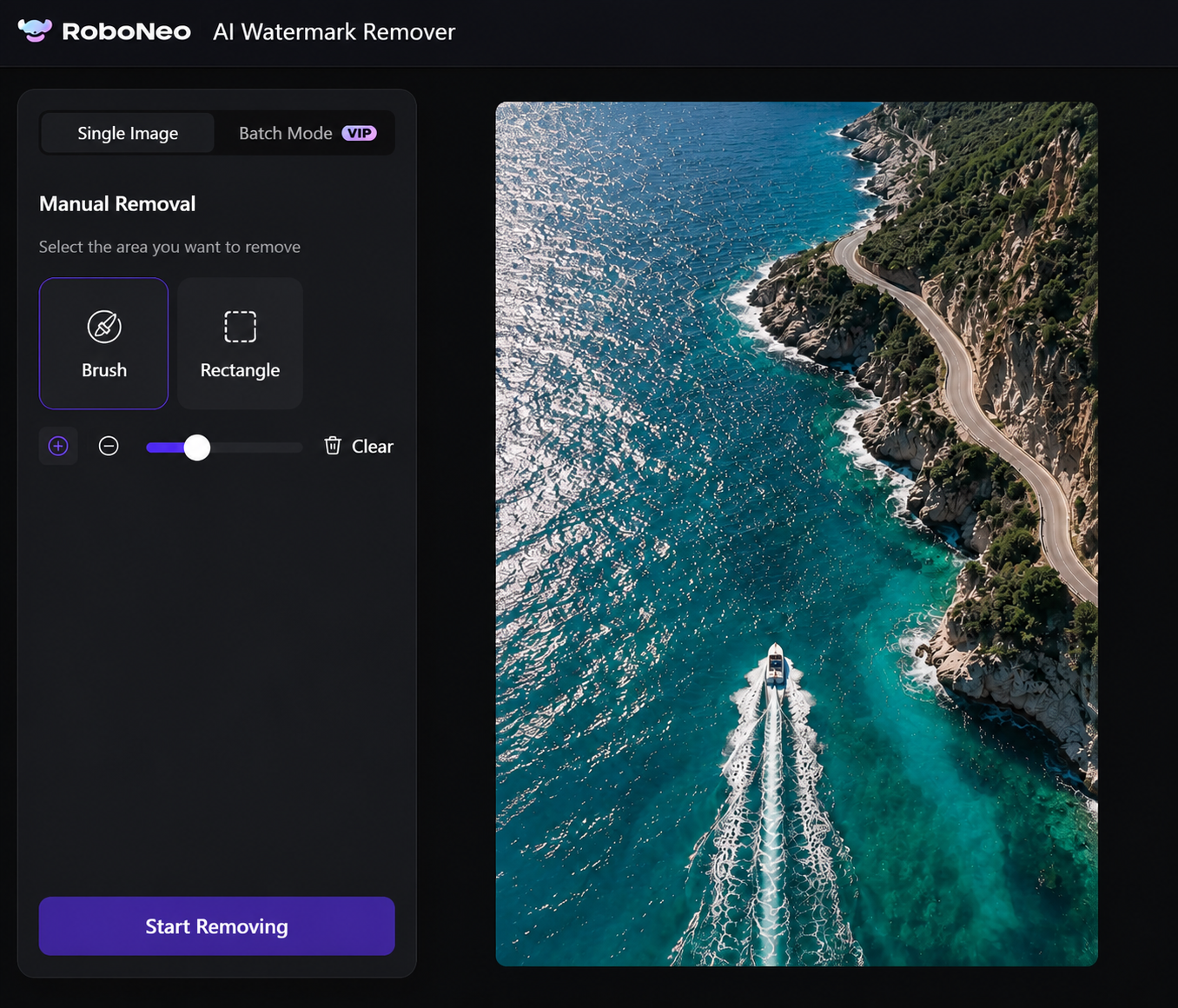 RoboNeo AI video watermark remover