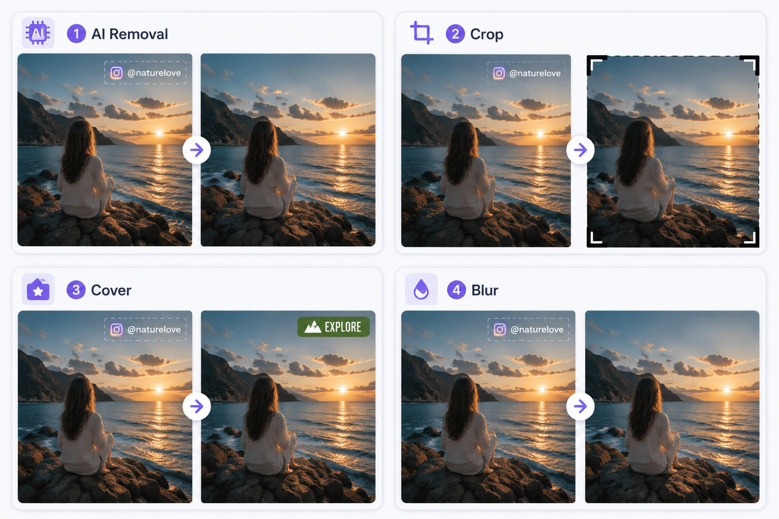 RoboNeo AI Watermark Remover Methods