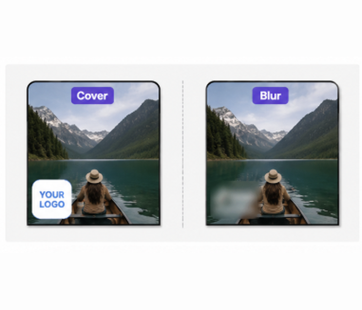 RoboNeo video watermark cover and blur