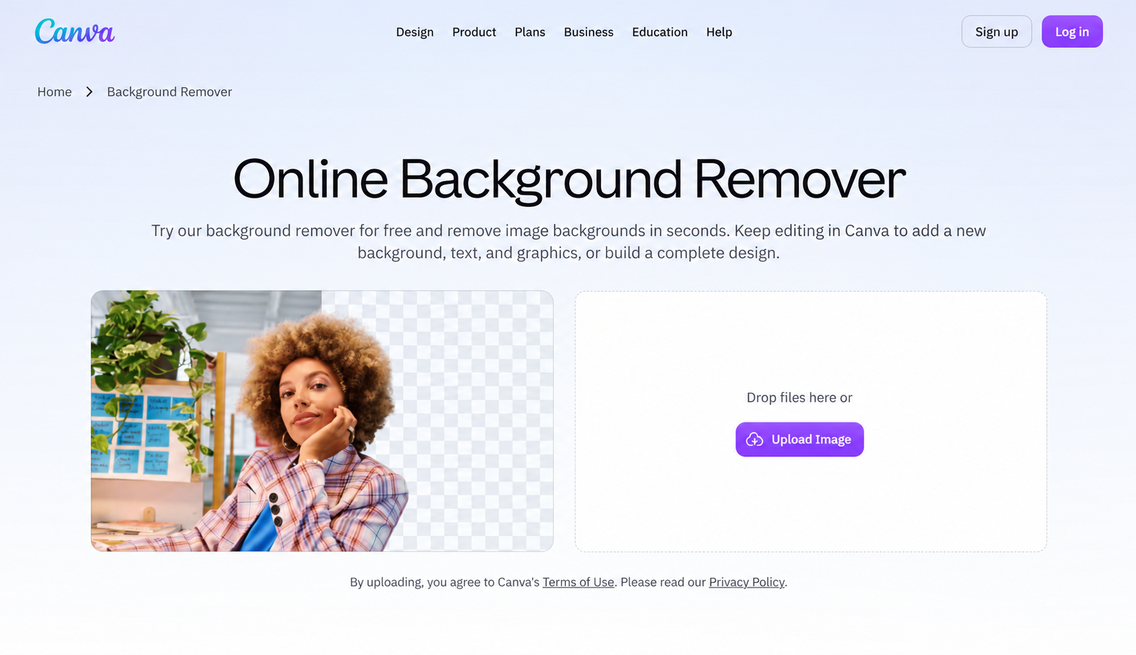 Canva Remove Background 