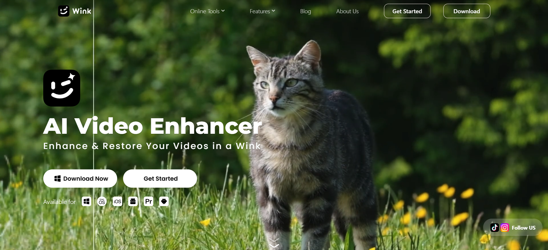 How to Unblur an Image: A Practical Guide for Clearer Pictures | Wink