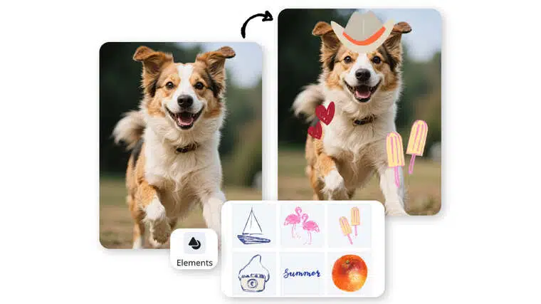 add stickers to photos